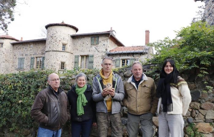 In Haute-Loire, the beautiful story of these siblings of barn owls who fell from the nest