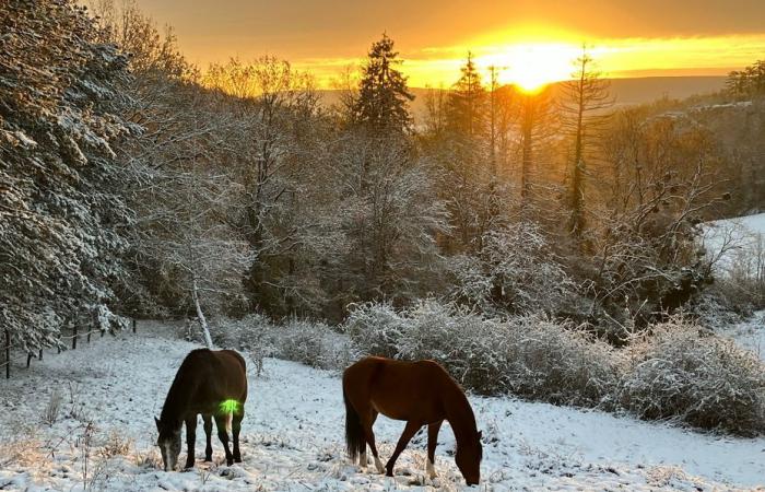 Burgundy wakes up under a pretty white carpet