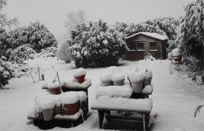 after the wind and snow, homes without electricity