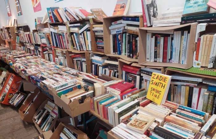 Good deals. Books on sale for less than one euro in Tarn-et-Garonne this weekend