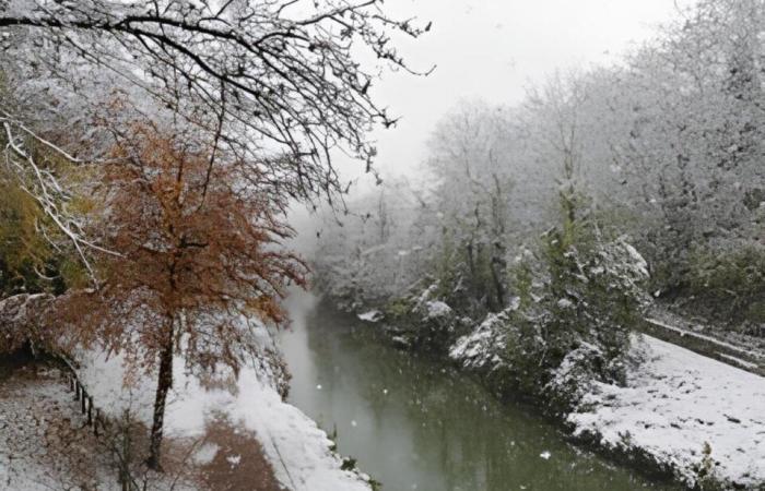 IN PICTURES. From Meaux to Disneyland Paris, the most beautiful photos of snow in Seine-et-Marne