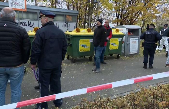 Macabre discovery in Vienna: the body of a missing infant found in a trash can