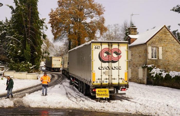 Shipwrecked on the road in Orne, truckers Jean-François and Eric testify