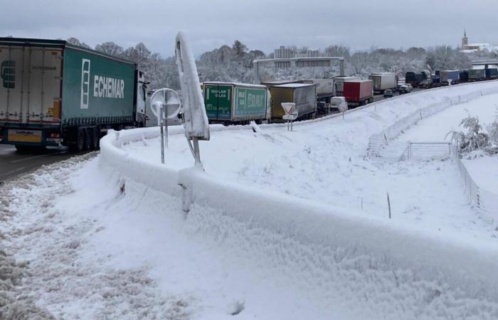 12:30 p.m. news – Storm Caetano: truckers spent the night on the highway, without help or communication