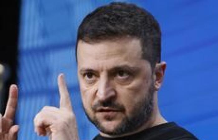 CHECK – Did Volodymyr Zelensky really “imprisoned all his political opponents”?