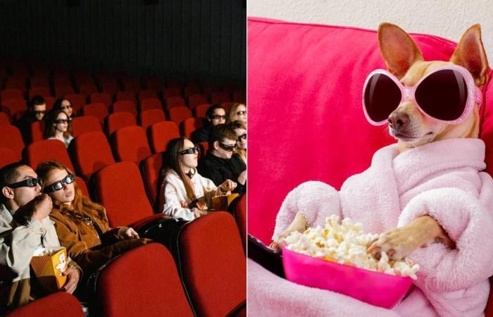 A cinema opens its doors to dogs in Paris in December!