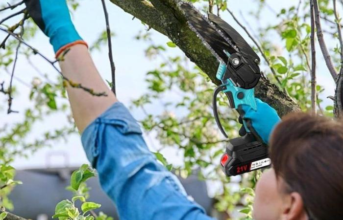 Good garden deal: this mini chainsaw is finally at Black Friday prices on Amazon