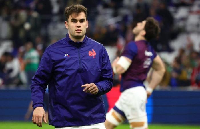 France-Argentina: the reasons for the absence of Damian Penaud, the French XV player is ill