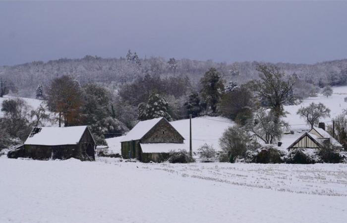 after the wind and snow, homes without electricity