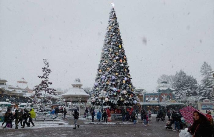 IN PICTURES. From Meaux to Disneyland Paris, the most beautiful photos of snow in Seine-et-Marne