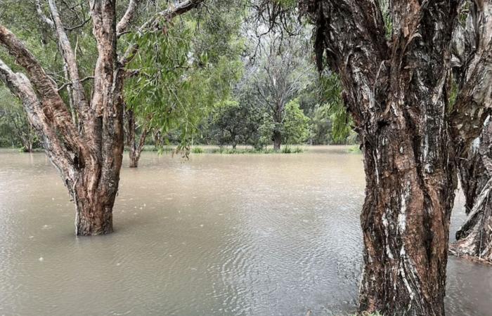 Queensland state hit by torrential rain