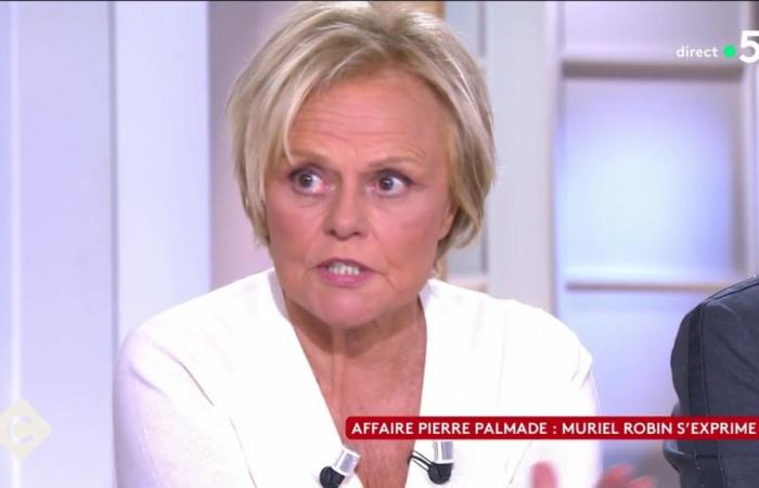 Pierre Palmade sentenced: “in the context of the accident…”, Muriel Robin finally tells the truth about their broken friendship