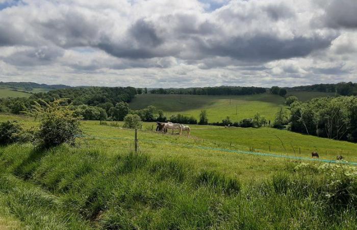 “The Gers must be protected”: the Beaumarchés agrivoltaic park is in trouble