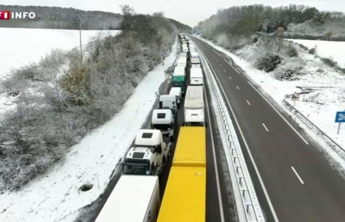 “We are at 0 km/h”: thousands of heavy goods vehicles still stopped on the A36