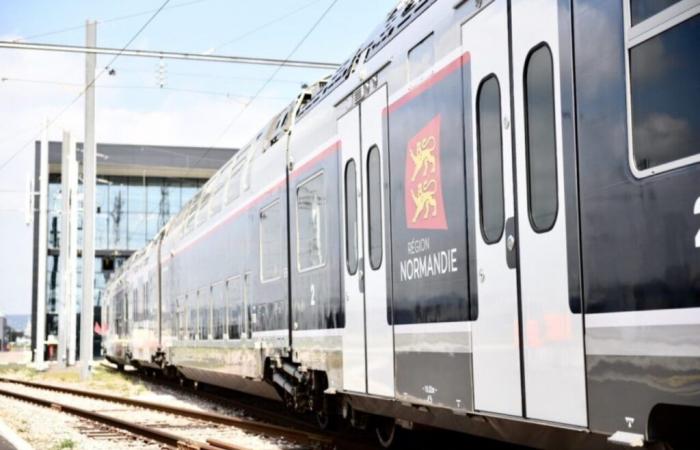 passengers stuck for 7 hours on a train near Rouen