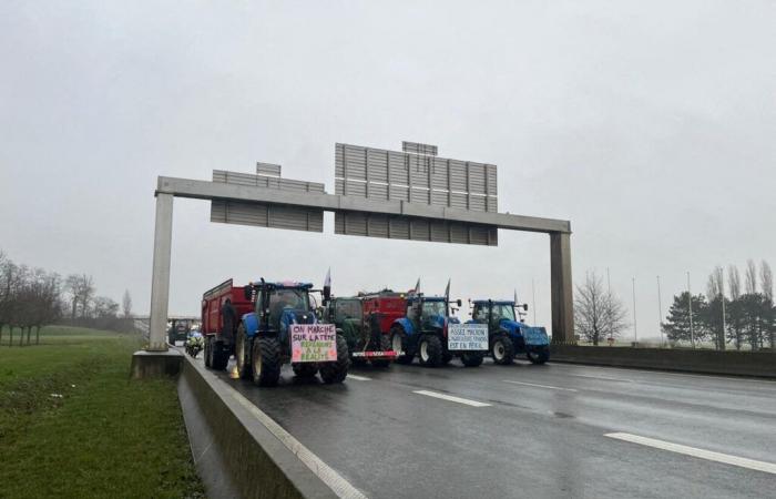 Blockage of farmers on the A43 in Isère: the demonstration ends