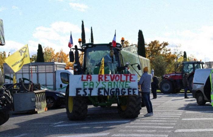 Direct. Anger of the farmers. The Carrefour purchasing center in Colomiers unblocked by the police