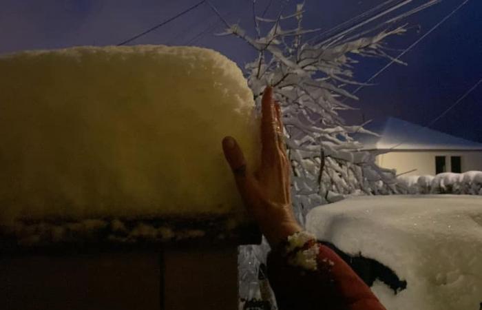 IN PICTURES. And 10, 15, 20, 25 centimeters of snow! Your impressive winter photos in Franche-Comté