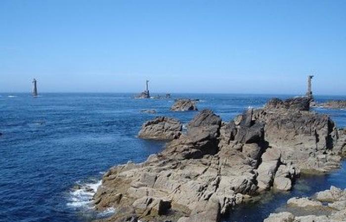 Finistère: a golden lobster, extremely rare specimen, caught on the island of Ouessant