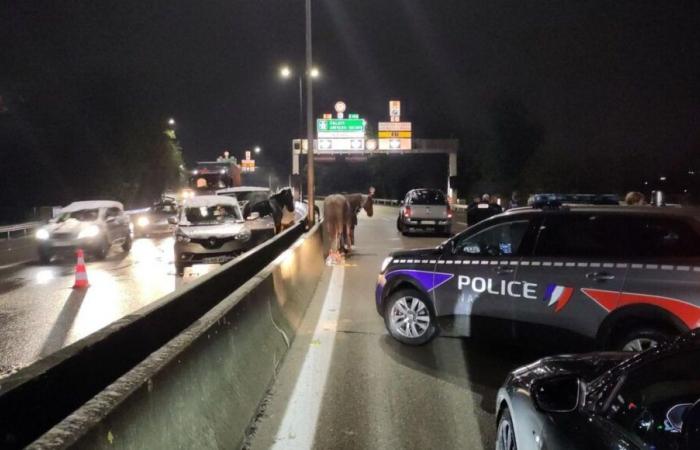 Storm Caetano in Rouen: horses in the Grand Mare tunnel, traffic disrupted