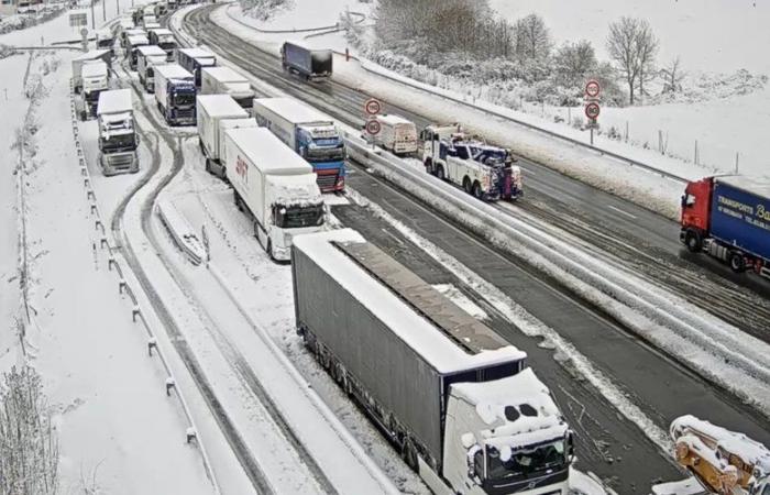 VIDEOS. Storm Caetano: 150,000 homes still without electricity, -10°C at night, panic on the roads, images of the snowy episode in France