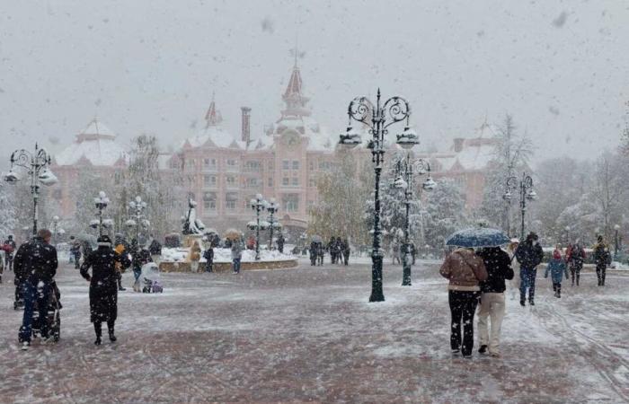 IN PICTURES. From Meaux to Disneyland Paris, the most beautiful photos of snow in Seine-et-Marne