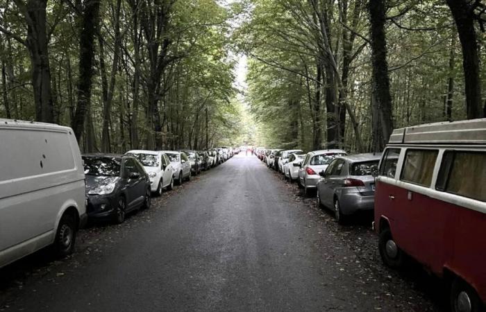 Victim of its free parking, this line R station becomes “hell” for users