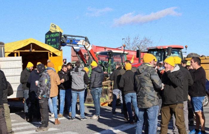 Direct. Anger of the farmers. The Carrefour purchasing center in Colomiers unblocked by the police