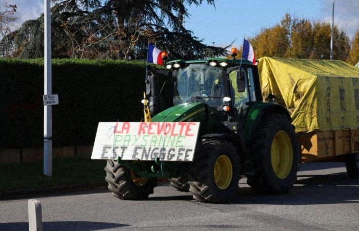 Direct. Anger of the farmers. The Carrefour purchasing center in Colomiers unblocked by the police