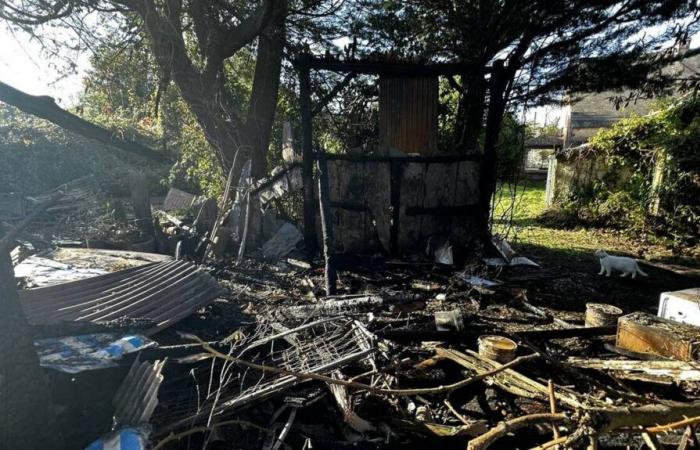 the squat trail after the fatal fire in Ille-et-Vilaine