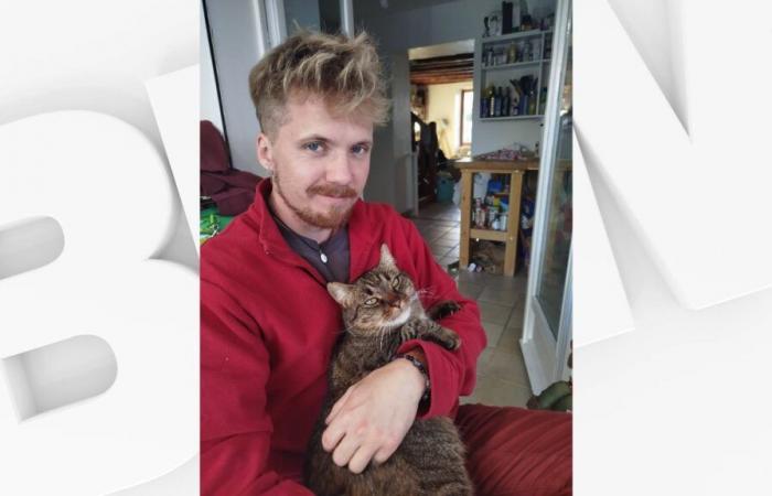 in Briançonnais, a man finds his cat a year after losing it