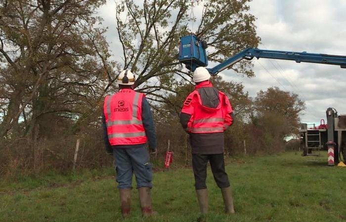 up to 9,000 homes deprived of electricity in Limousin at the height of the event