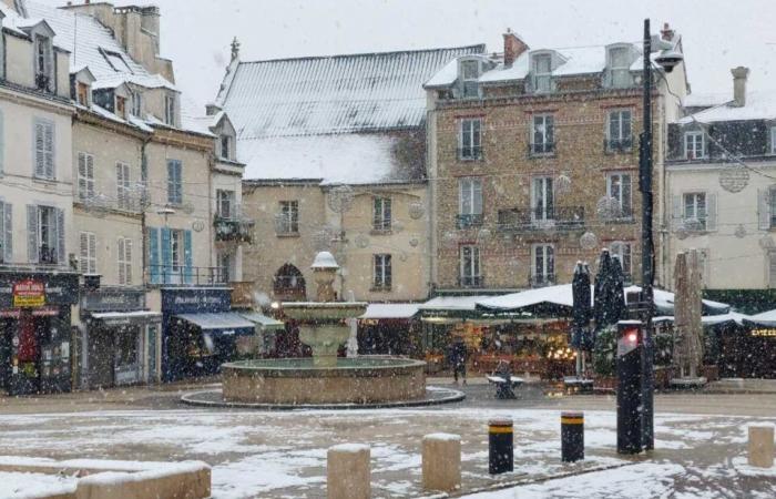 IN PICTURES. From Meaux to Disneyland Paris, the most beautiful photos of snow in Seine-et-Marne