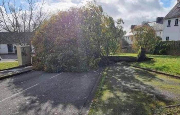 Faced with the damage from the Caetano storm, emergency services carried out 106 interventions in Finistère