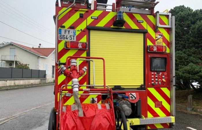 Falling trees and damaged cables in Lot-et-Garonne following storm Caetano