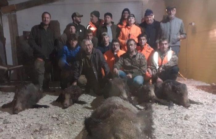 Charente-Maritime: The hunters who killed a record boar weighing 205 kg told us their story