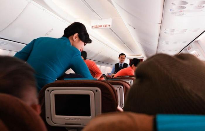 How much does a flight attendant earn on average?