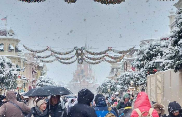 IN PICTURES. From Meaux to Disneyland Paris, the most beautiful photos of snow in Seine-et-Marne