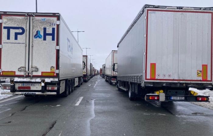 Stuck on the A36 because of the snow: “We were told that people would pass with coffee, we are still waiting”