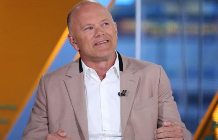 Novogratz warns that there will be a bitcoin correction, says crypto is ‘levered to the gills’