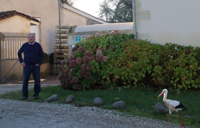 A strange squatter has taken up residence in this district of Gironde