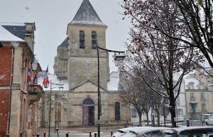 IN PICTURES. From Meaux to Disneyland Paris, the most beautiful photos of snow in Seine-et-Marne