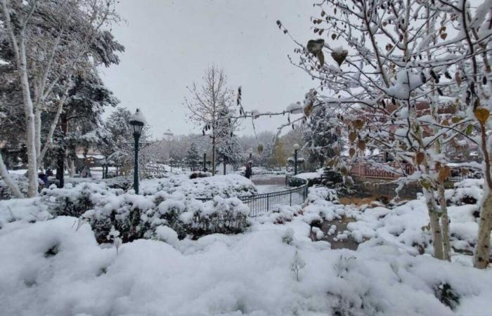 IN PICTURES. From Meaux to Disneyland Paris, the most beautiful photos of snow in Seine-et-Marne