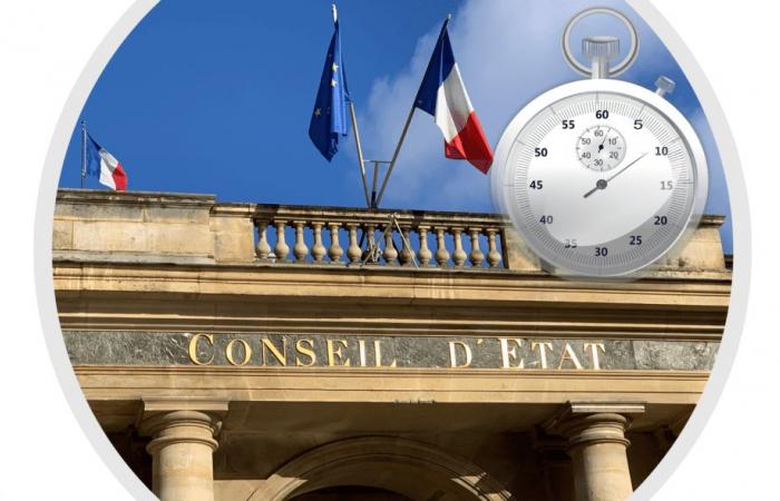 What control is carried out at the level of cassation on the sufficiency, or not, of the time limit for regularizing an environmental authorization?