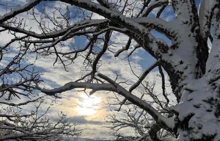 WEATHER REPORT. Yellow warning for snow and ice maintained on Saturday and Sunday… up to 17 degrees in Burgundy!