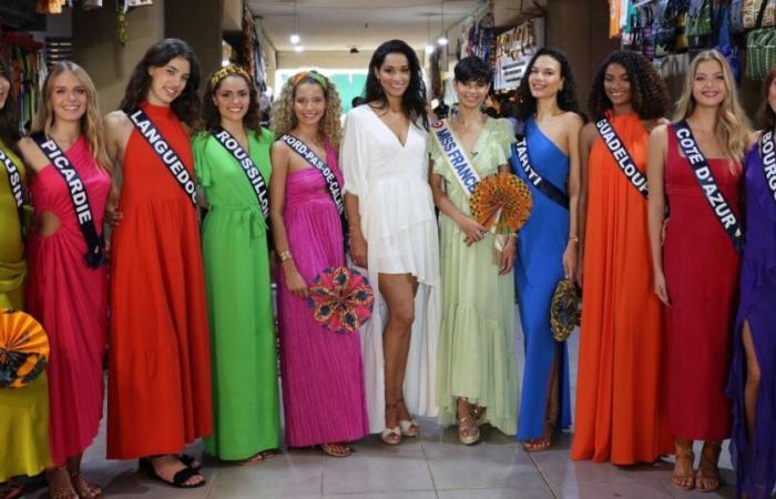 Miss France 2025: will these 5 Miss France be deprived of their sash because of a curse?