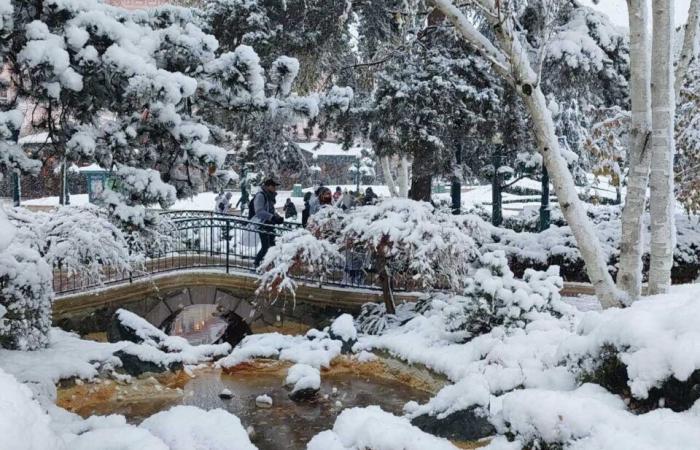 IN PICTURES. From Meaux to Disneyland Paris, the most beautiful photos of snow in Seine-et-Marne