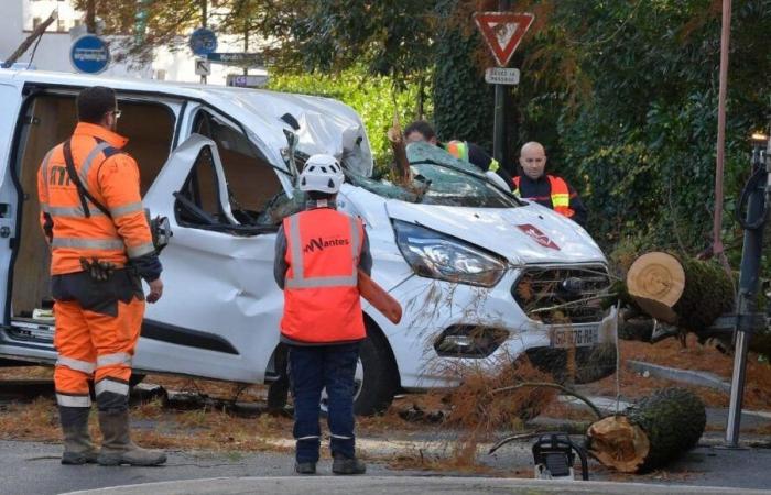 Storm Caétano: update on the situation this Friday morning in Loire-Atlantique and Vendée