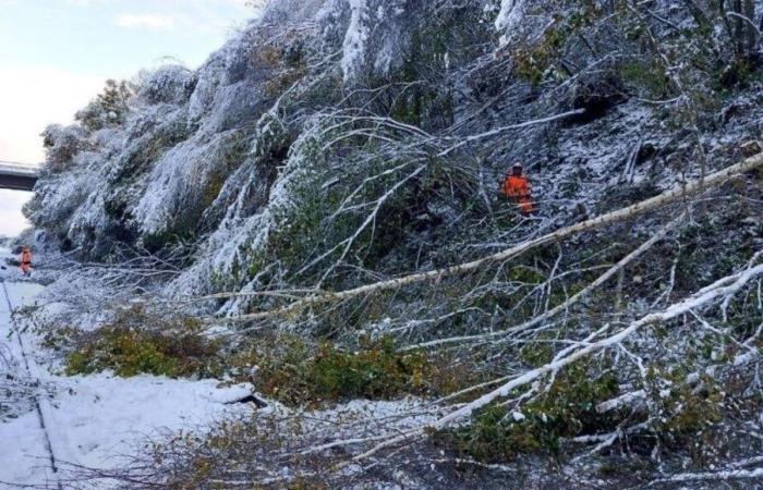 Caetano storm: no resumption of the Paris-Granville line this Friday