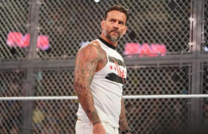 CM Punk names the wrestlers he wants to face in WWE